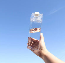 Load image into Gallery viewer, Clear Plastic Carton